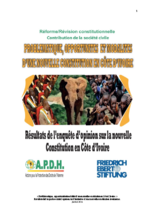 Problematique, opportunites et modalites d'une nouvelle constitution en Côte d'Ivoire
